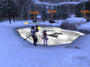 20100323Scylla.jpg