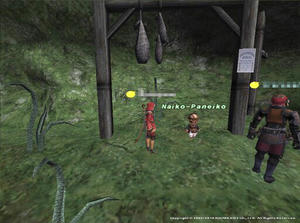 20100327Naiko-Paneiko.jpg