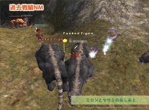 20100404ANNM.jpg