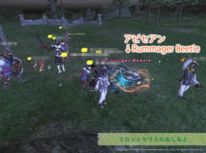 Rummager Beetle.jpg