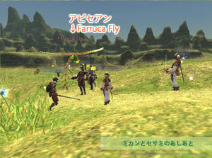 Farruca Fly.jpg