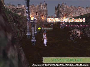 NM Blifnix Oilycheeks.jpg