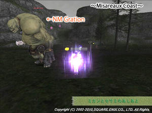 NM Gration.jpg