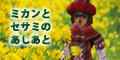 banner_sesamikan004.jpg