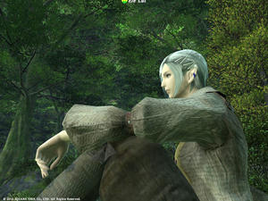 20100905PC-Ele-Lul.jpg