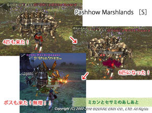 20100908Pashhow 〔Ｓ〕.jpg
