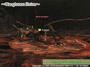 NM Dark Dragon.jpg