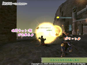 20101014Silencing-Kit.jpg