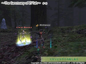 20101223NM-Blest-Bones.jpg