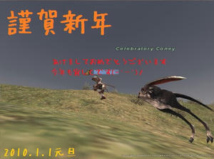 20110101New-Year.jpg