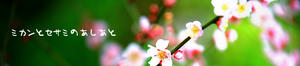 20110216top.jpg