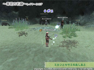 20110208Face-of-the-Future.jpg
