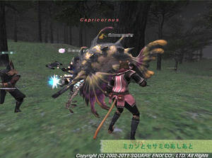 20110619Capricornus.jpg