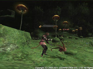 20110819NM-Unut.jpg