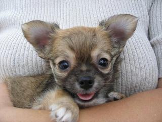 20070630_000.jpg