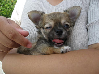 20070630_001.jpg