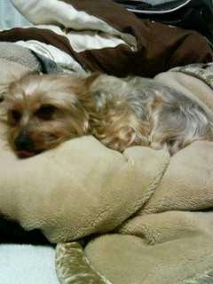 20070821teto.jpg