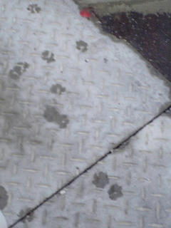 20071101_08.JPG