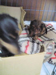 200801041635000.jpg