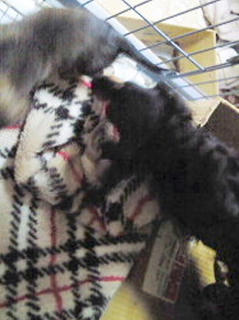 200801041636000.jpg