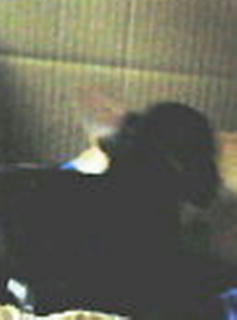 200801041637000.jpg
