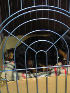 200801061959000.jpg
