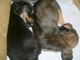20080109_4.JPG