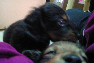 200801111220000.jpg