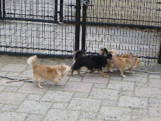 20080113_15.JPG