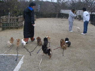 20080113_17.JPG