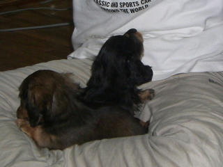 20080114_2.JPG