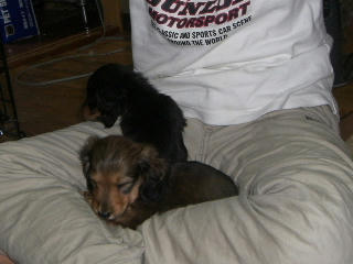 20080114_3.JPG