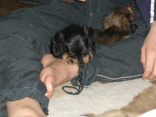 20080115_2.JPG