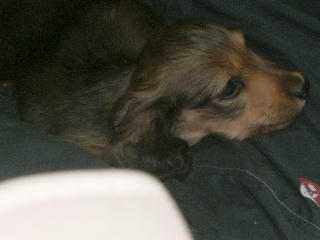20080115_3.JPG