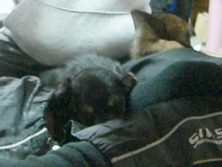20080116_13.JPG
