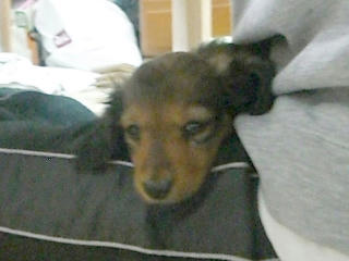 20080116_14.JPG