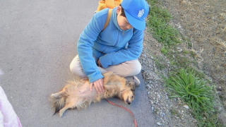 20080118_3.JPG