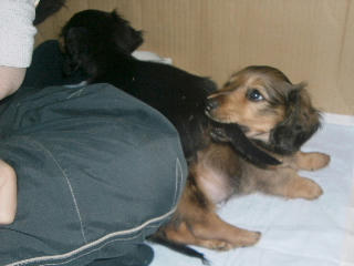 20080121_1.jpg