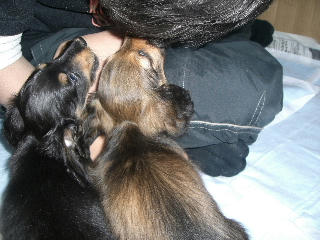 20080121_2.JPG