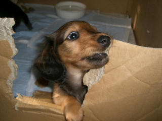 20080125-1.JPG