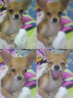 20071001sora.jpg