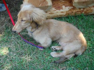 kouta20070908_1.jpg