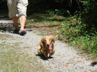 kouta20070908_3.jpg
