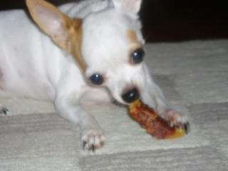 kokoro20070911_3.jpg
