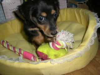 20080516-22.JPG