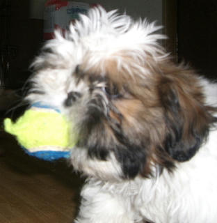 20080615-1.JPG