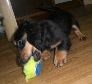 20080615-2.JPG