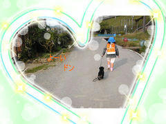6240961_1534111138s.jpg