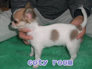 aoi_l.gif