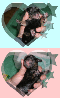 f385d1b7.gif